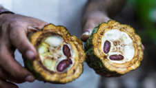 The overall Cocoa Life sourcing programme aims to eventually reach more than 200,000 farmers across six countries and benefit more than a million people by 2022